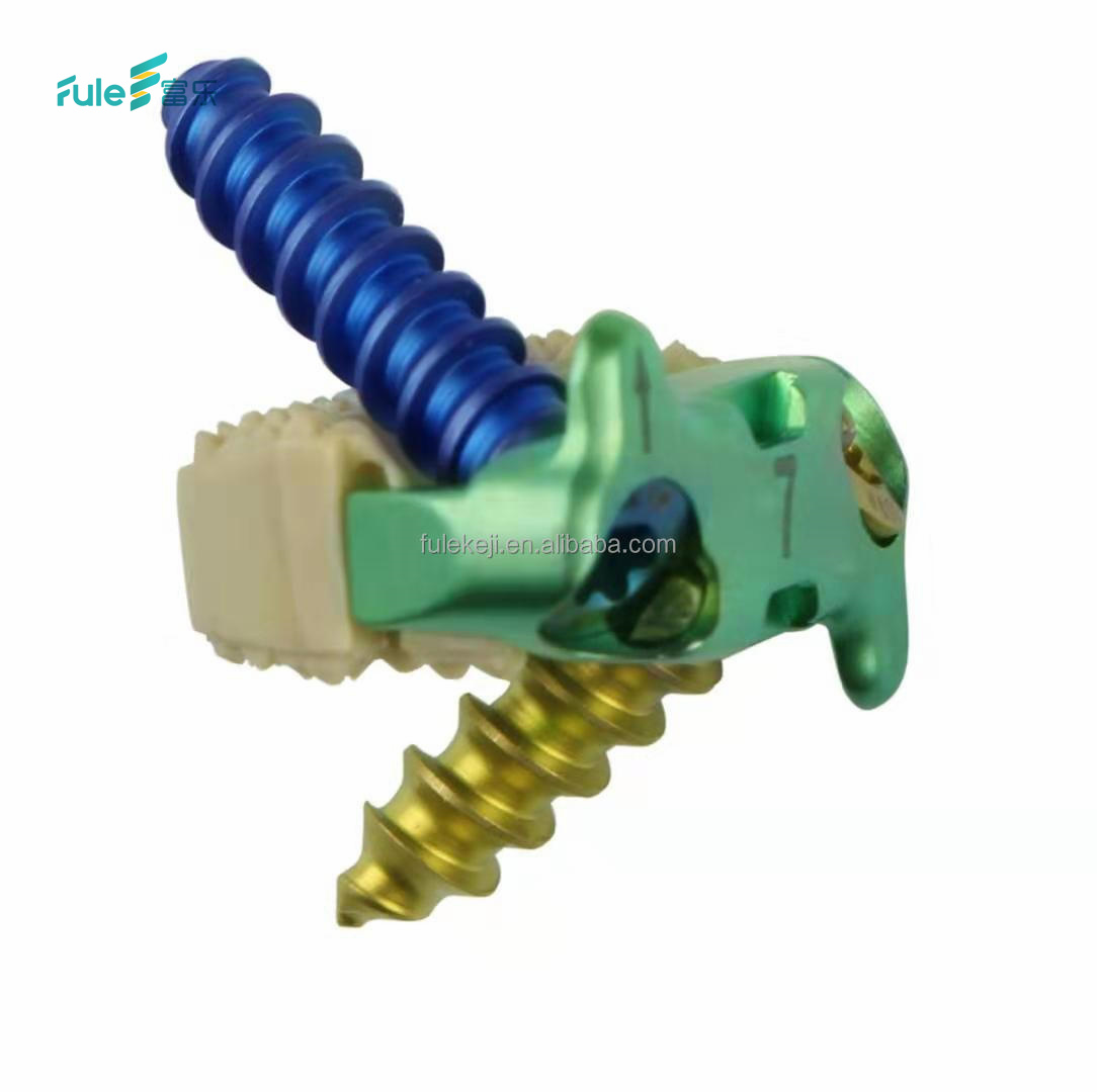 Competitive Price CE/ISO13485/ISO9001 Certified Fule Titanium/PEEK Anterior Interbody Fusion Cage Class III Spinal Fixation