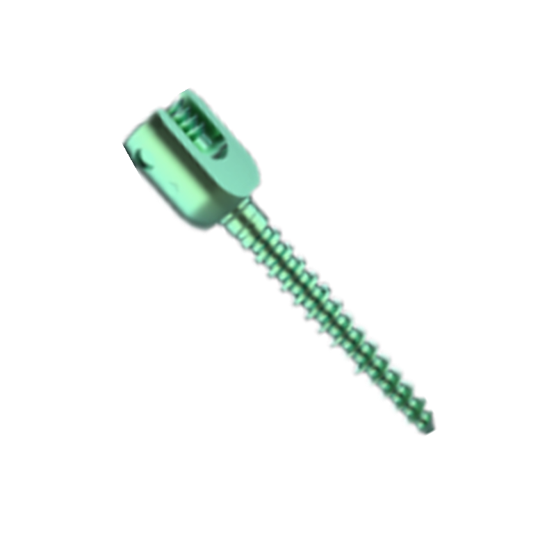 High Quality CE/ISO Certified Titanium Implantable Spinal Dynamic Stabilization System