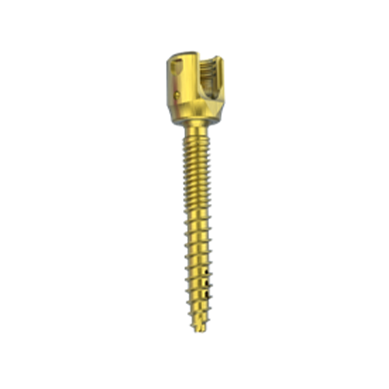 Mikoii5.5 Minimally Invasive Titanium Orthopedic Surgery Implant & Bone Nail Instrument for Spine Surgery