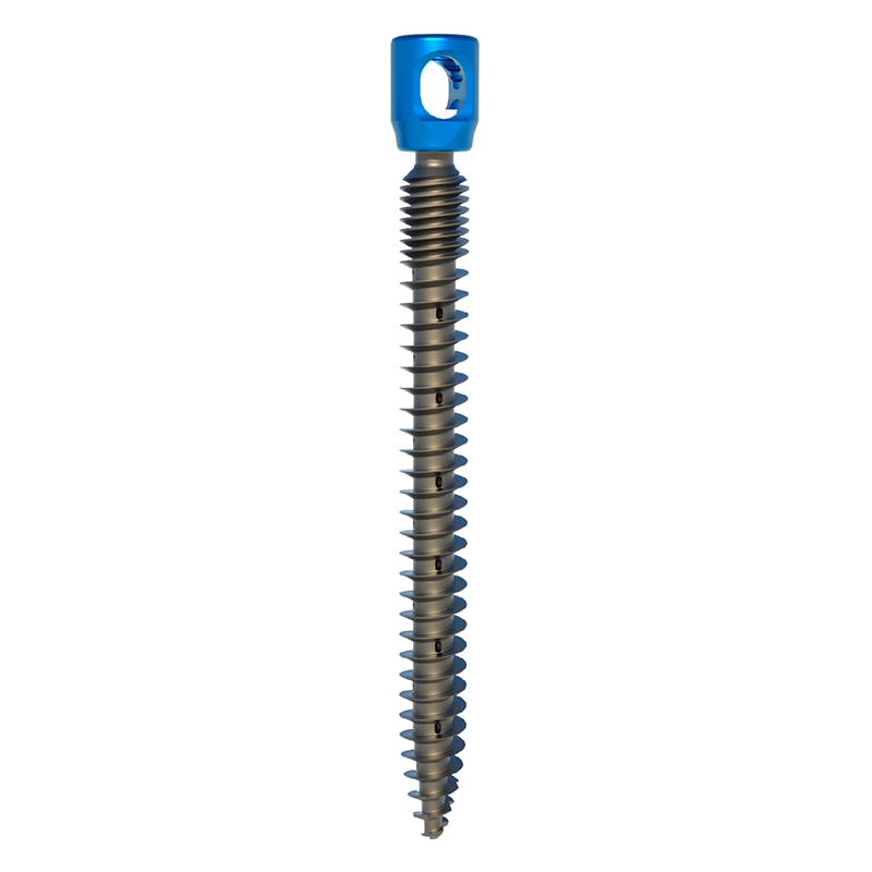 Fule Brand Spine Surgery Titanium Iliac Screw Combinations-Factory Direct Sales More 5 Years Warranty CE/ISO13485/ISO9001