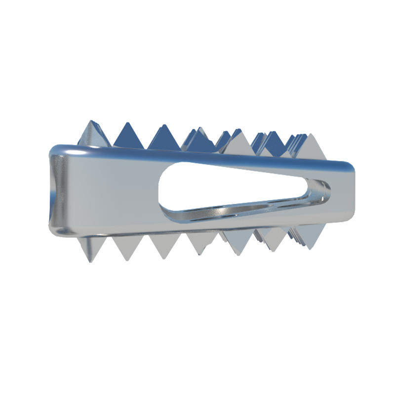 High Quality Anterior Cervical Interbody Fusion Orthopedic Implant Titanium Alloy Material for Orthopedic Surgery