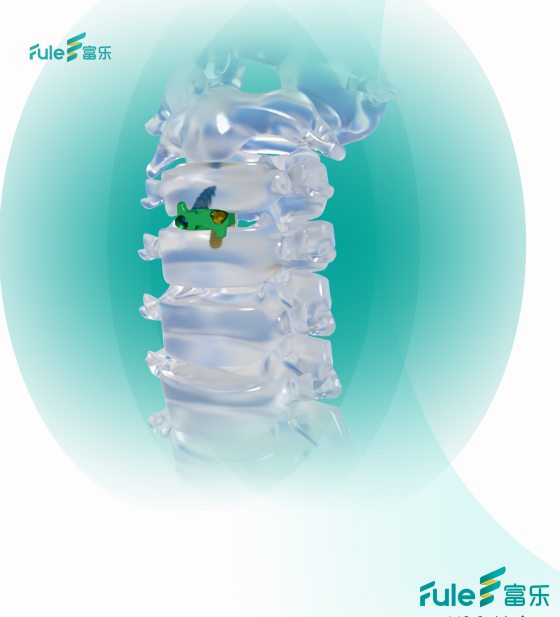 Orthopedic Surgical Implants Titanium Fedex Customized Zero Profile Anterior Cervical Cage Instruments Class III CE Certified