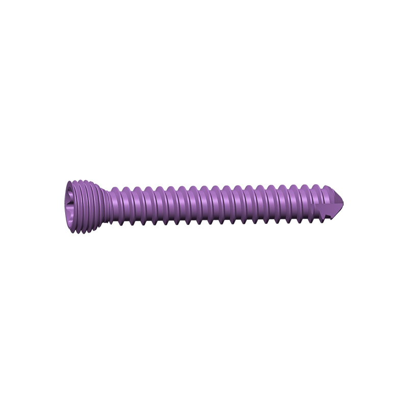 High Quality CE Marked Titanium Trauma Locking Screws for Bone Fracture Fixation Implants