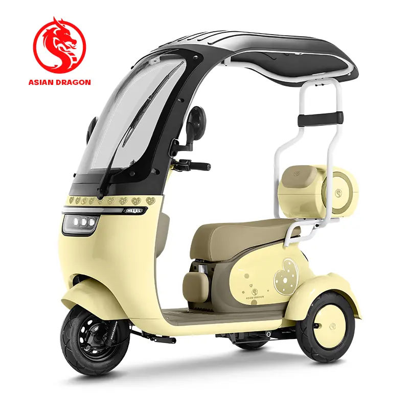 Wholesale ASIAN DRAGON Sky-Blue Canopy Tricycle: Cute Solo Commuter Suppliers, Factory
