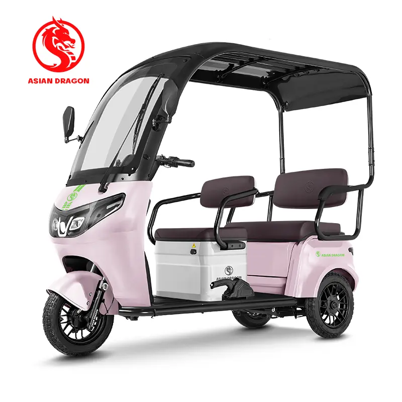 China Suppliers ASIAN DRAGON Purple Canopy Electric Tricycle - Stylish Family Commuter from Factory