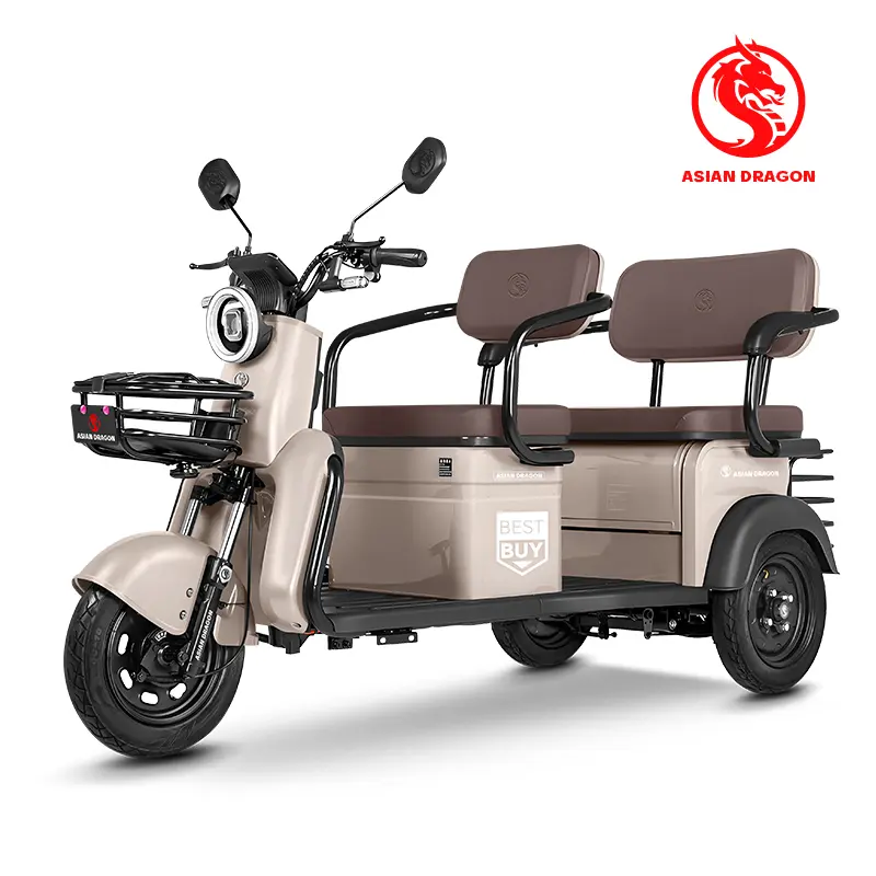 China ASIAN DRAGON Mint-Green Electric Tricycle: Family Commuter Manufacturer, Factories