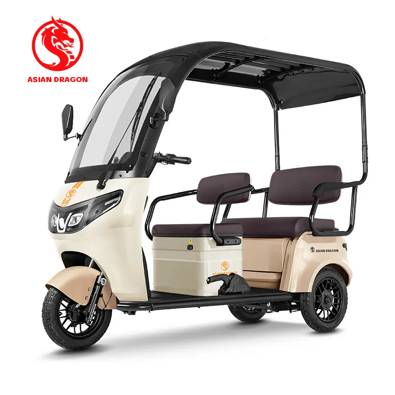 China Suppliers ASIAN DRAGON Purple Canopy Electric Tricycle - Stylish Family Commuter from Factory