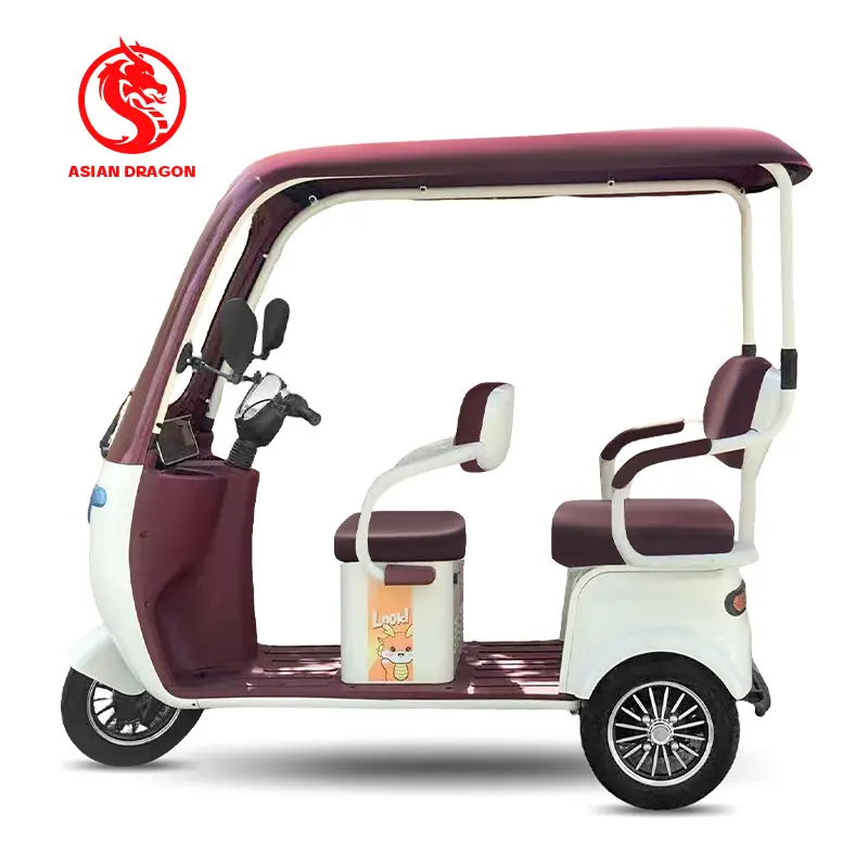 China All-Weather Enclosed Canopy Electric Trike for Two Factories, Factory