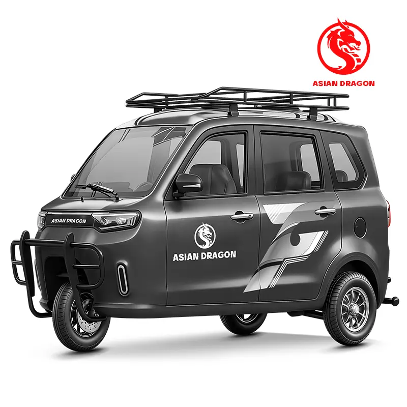 China ASIAN DRAGON Household 3-Wheel Electric Tricycle Manufacturers, Supplier