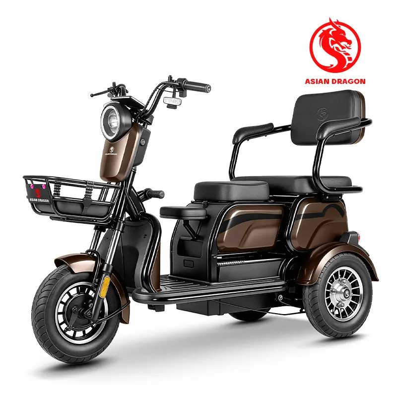 China ASIAN DRAGON Brown 3-Wheel Mobility Electric Trike Factories, Factory