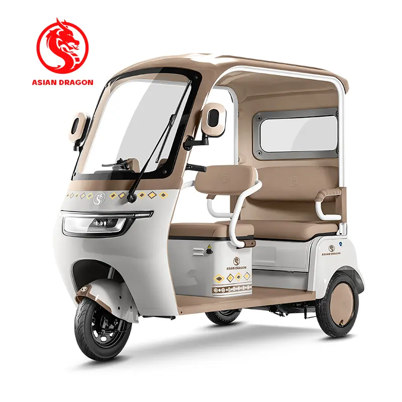 Wholesale ASIAN DRAGON Mint-Green Enclosed Tricycle: Family Commuter Manufacturers, Manufacturer