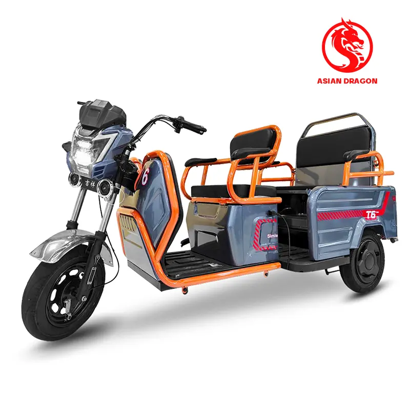 China Suppliers Factory Two-Seater Electric Trike for Shared Adventures with Friends and Couples
