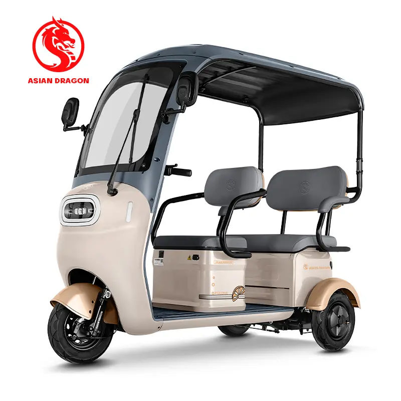 China Suppliers Factory ASIAN DRAGON Gradient Green Canopy Tricycle: Weatherproof Three-Wheel Commuter for All Conditions