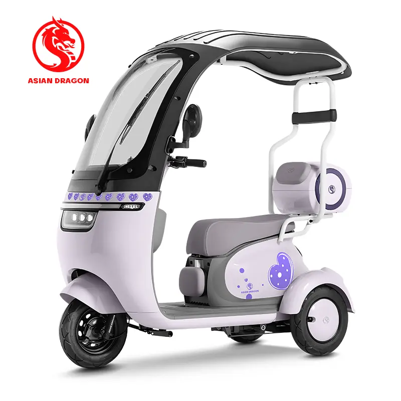 Wholesale ASIAN DRAGON Sky-Blue Canopy Tricycle: Cute Solo Commuter Suppliers, Factory