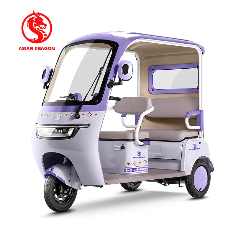 Wholesale ASIAN DRAGON Mint-Green Enclosed Tricycle: Family Commuter Manufacturers, Manufacturer