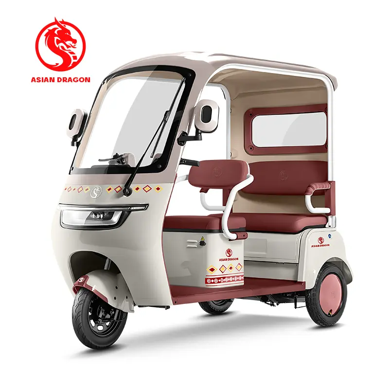 Wholesale ASIAN DRAGON Mint-Green Enclosed Tricycle: Family Commuter Manufacturers, Manufacturer