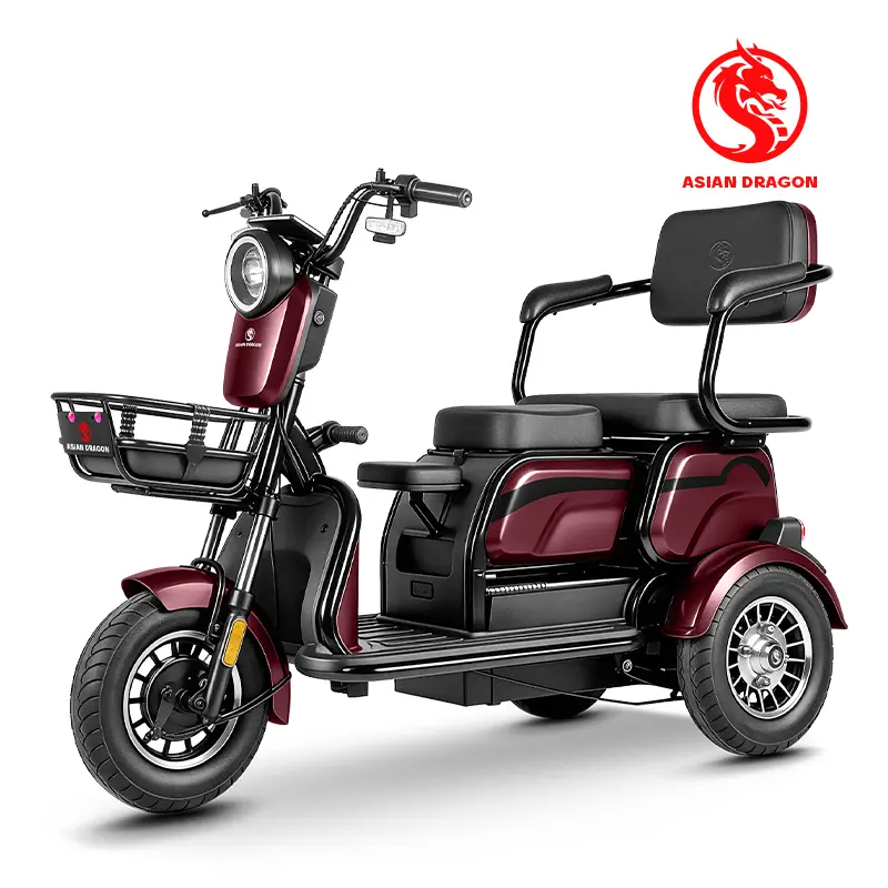 China ASIAN DRAGON Brown 3-Wheel Mobility Electric Trike Factories, Factory