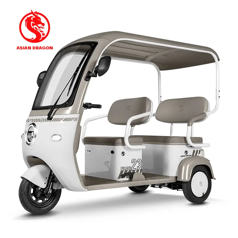Wholesale ASIAN DRAGON Sage Green Canopy Tricycle: Family Commuter Supplier, Factories