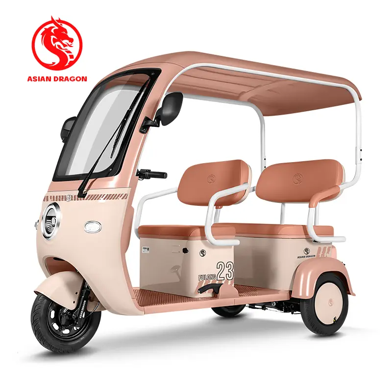 Wholesale ASIAN DRAGON Sage Green Canopy Tricycle: Family Commuter Supplier, Factories