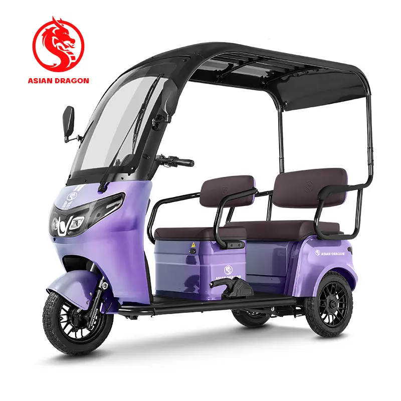 China Suppliers ASIAN DRAGON Purple Canopy Electric Tricycle - Stylish Family Commuter from Factory