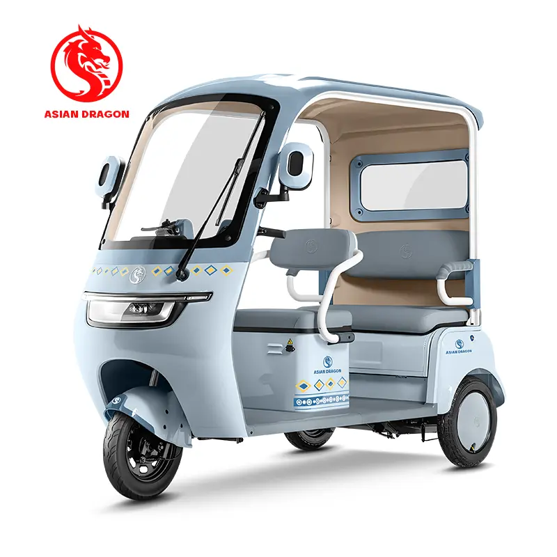 Wholesale ASIAN DRAGON Mint-Green Enclosed Tricycle: Family Commuter Manufacturers, Manufacturer
