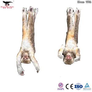 High-Quality Animatronic Monkey with Blinking Eyes & Realistic Sounds - Waterproof Animatronic animal Simulation Animal Model for Zoo, Jungle Park, Mall Display Manufacturers, Suppliers
