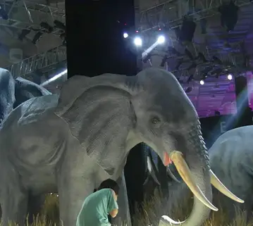 Visitors at the simulated dinosaur fossil exhibition