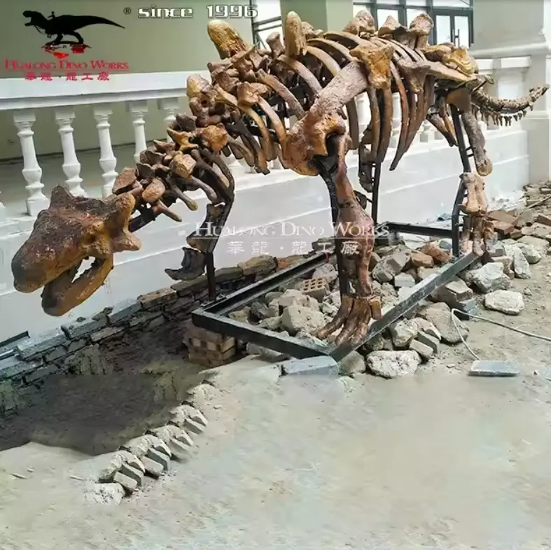 Wholesale fiberglass dinosaur skeleton with custom sizing