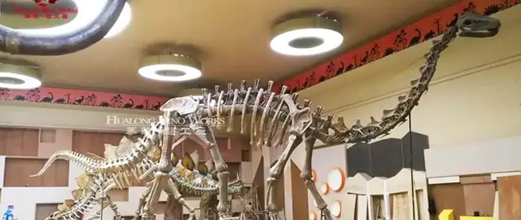 Dinosaur skeleton replicas in the exhibition hall