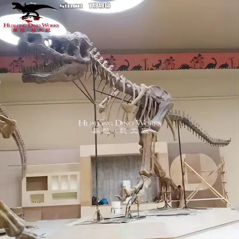 Artificial realistic T-Rex skeleton fossil replica