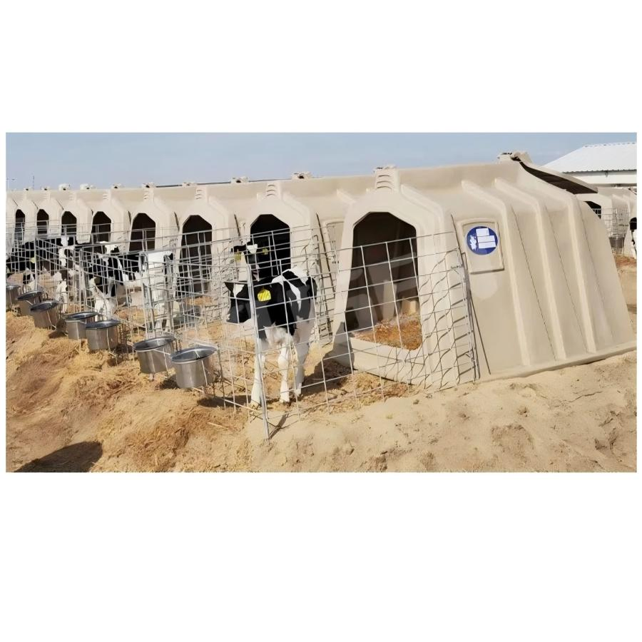 Dairy Farm Calf Living House with Fence and Feeding Bucket Hutch