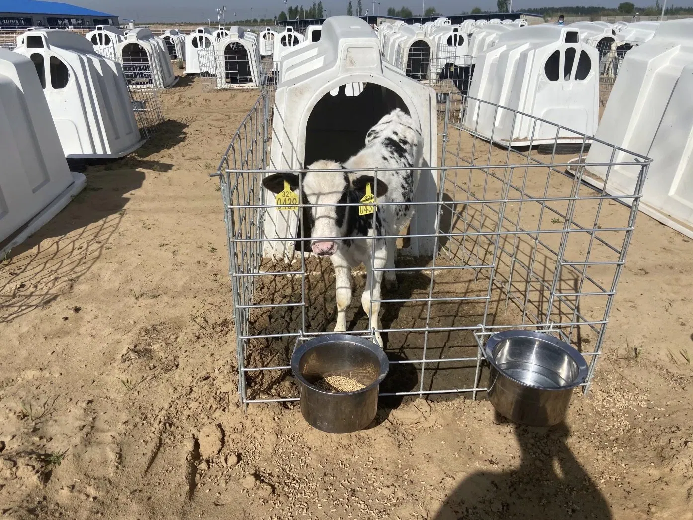 CE Certificate Calf Hutch for Dairy Cow Animal Husbandry with Good Quality