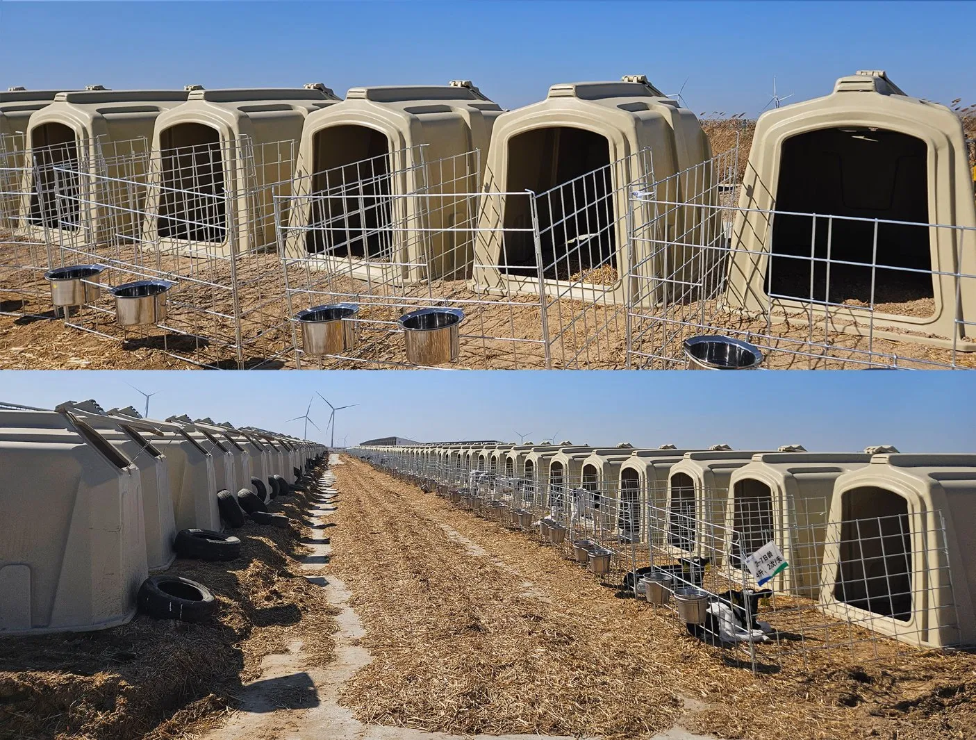 Producing in China Outdoor Plastic Large Calf Hutch