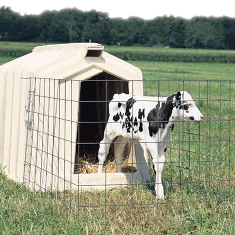More Strength and Long-Life Usage High Quality Plastic Calf Hutch