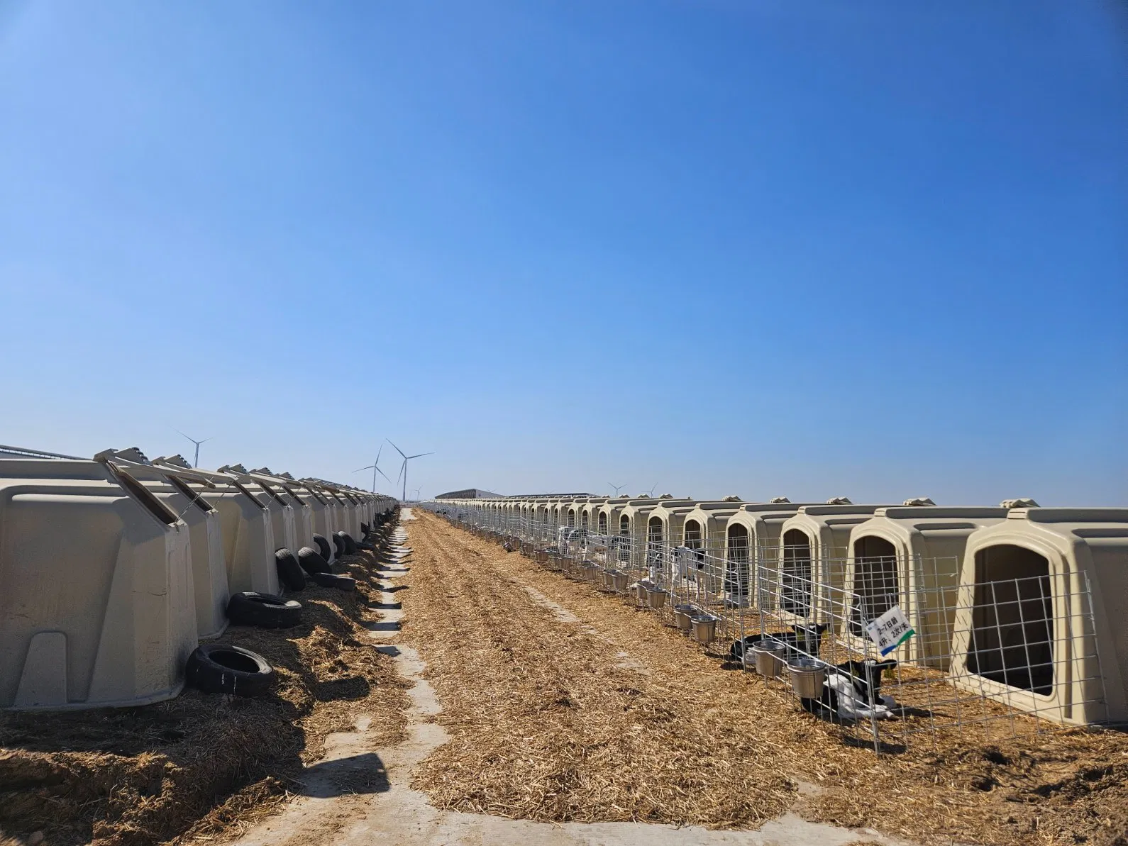 Individual Plastic out Door Calf Hutch