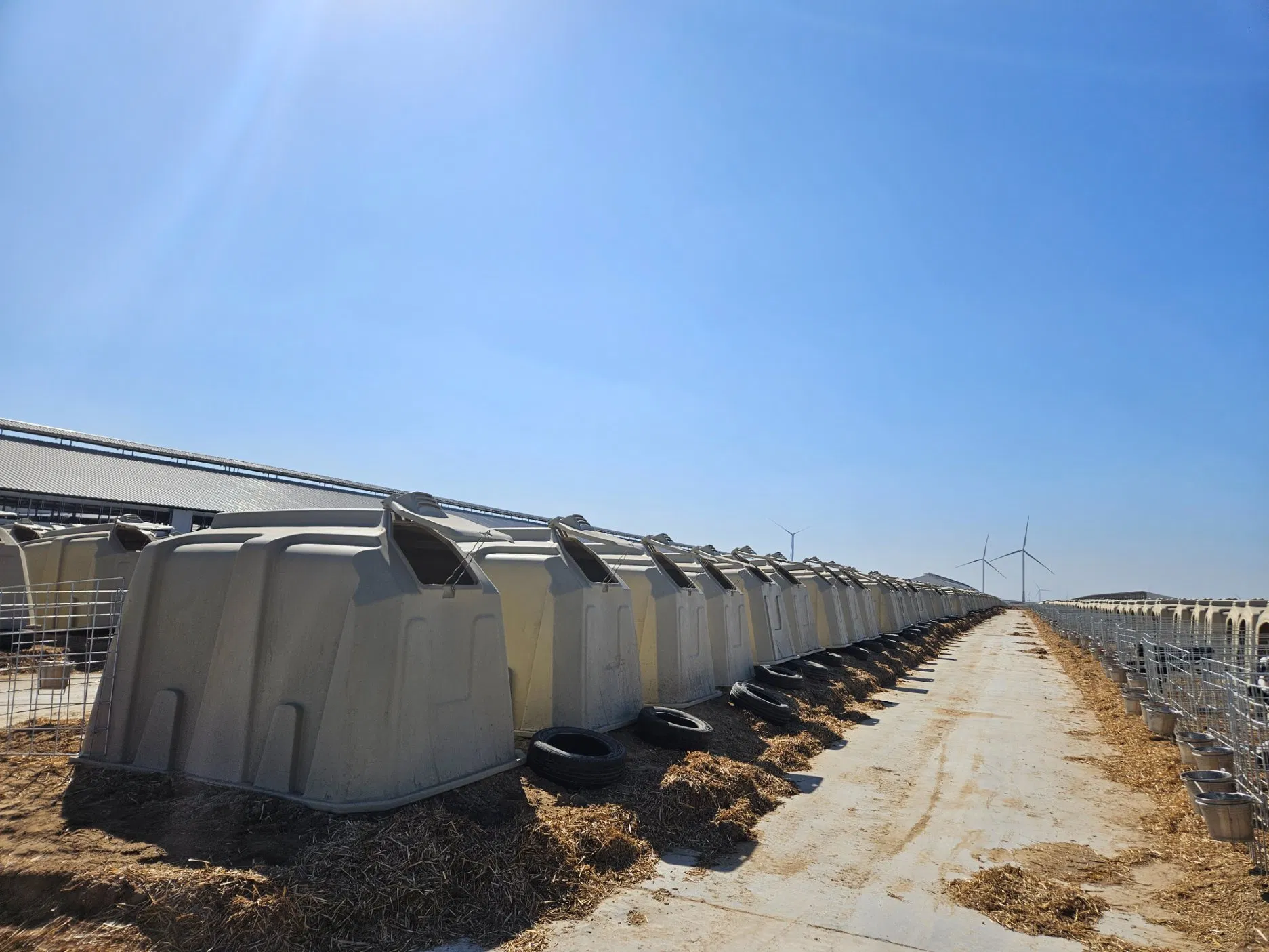 Producing in China Outdoor Plastic Large Calf Hutch