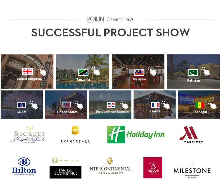 Ceramic Dinnerware Set 9