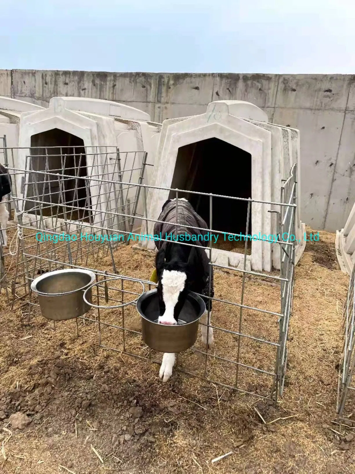 Whole Sales Calf Hutch Dairy Farm Pasture Individual Calf Feeding Hutch