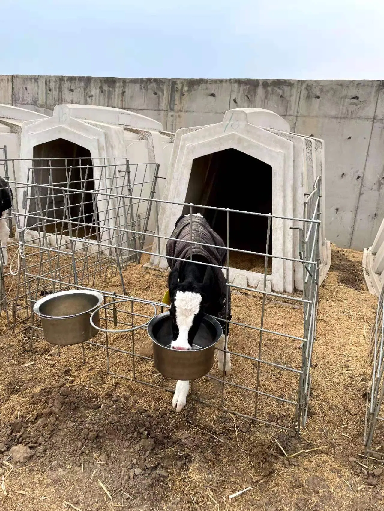 Fiberglass Calf Hutch/Cheap Calf Hutch/a Frame Calf Hutch