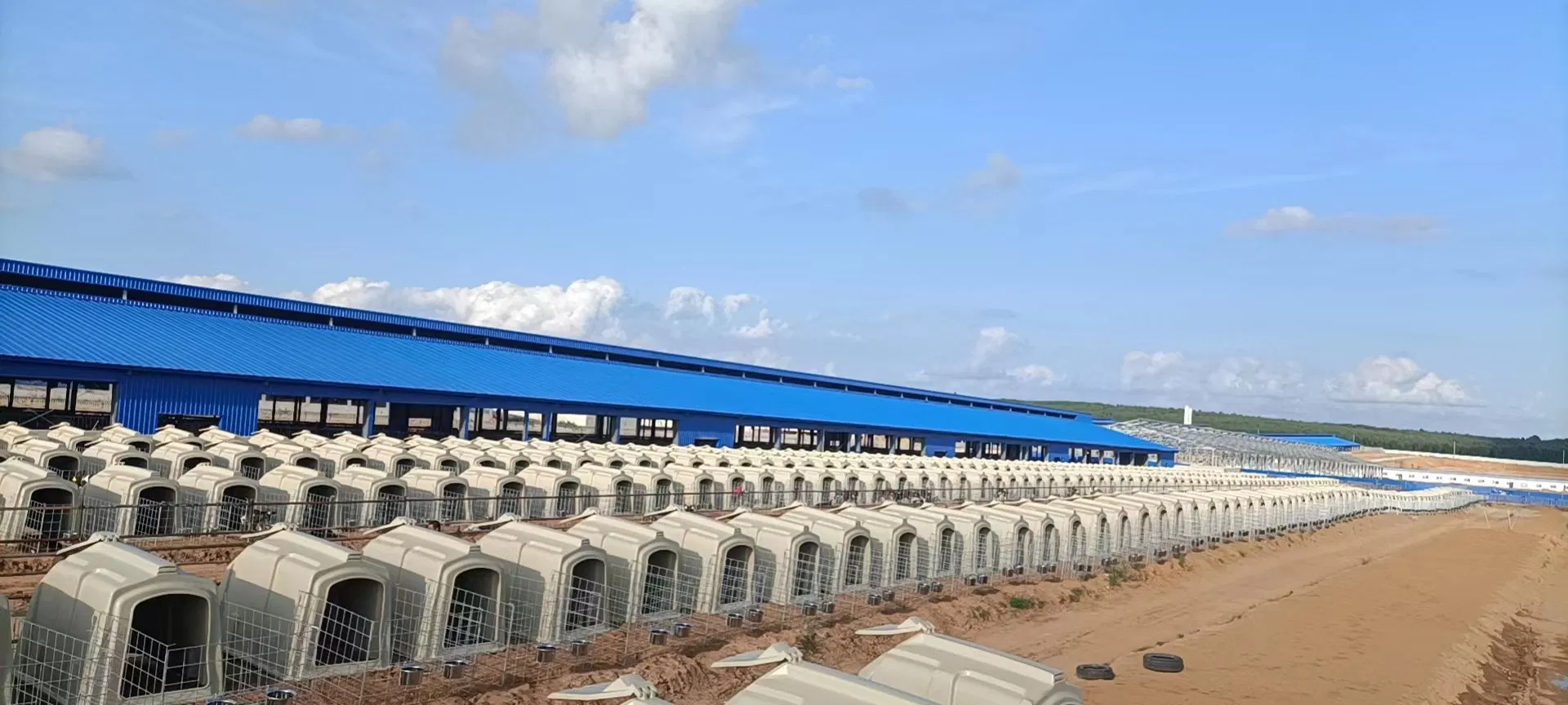 Factory Supply High Quality Durable Outdoor Calf Hutch for Cattle