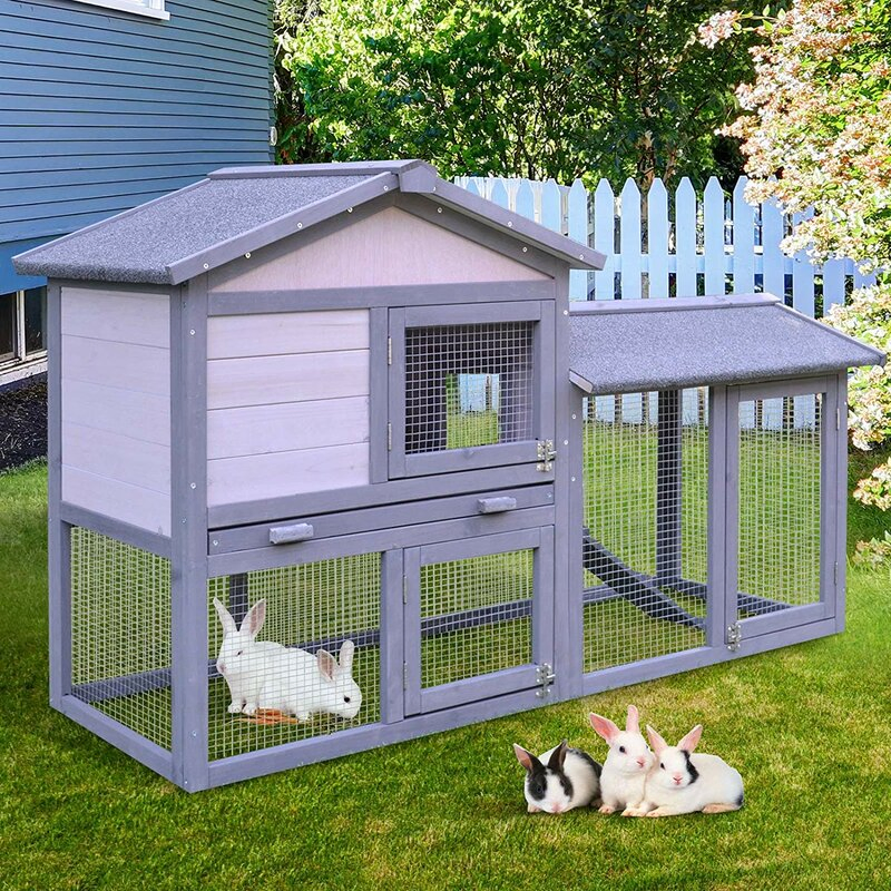 Cammack Raised Painted Deluxe Wood Rabbit Hutch with Run
