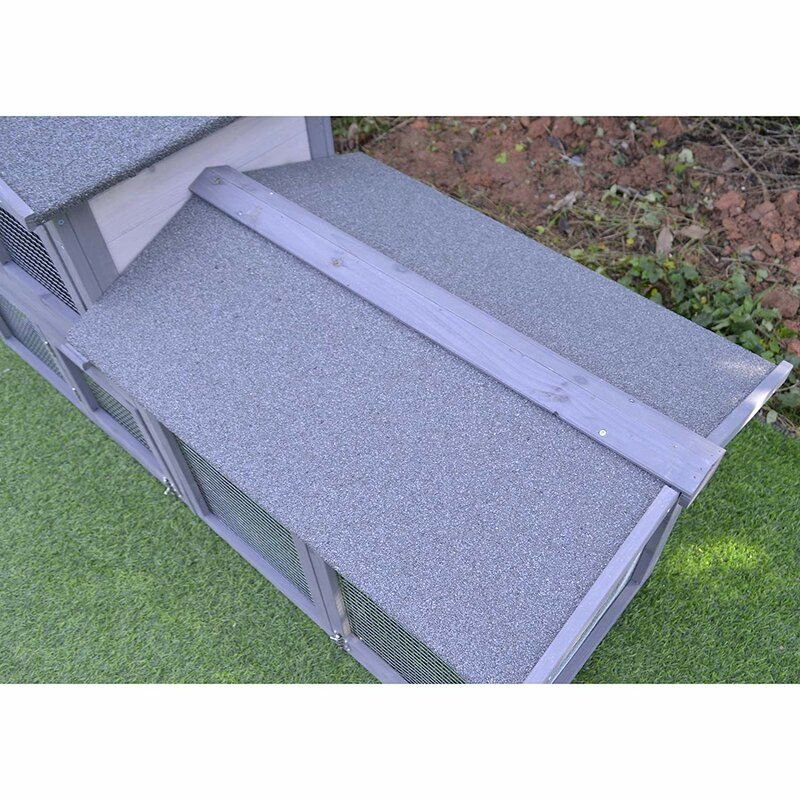 Cammack Raised Painted Deluxe Wood Rabbit Hutch with Run