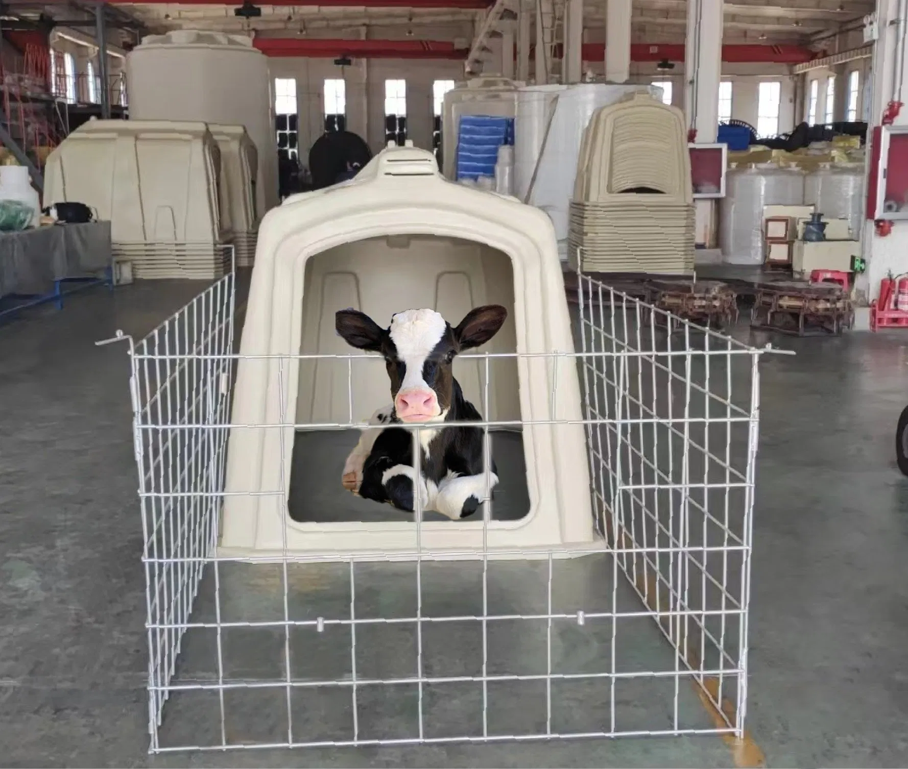 Producing in China Outdoor Plastic Large Calf Hutch
