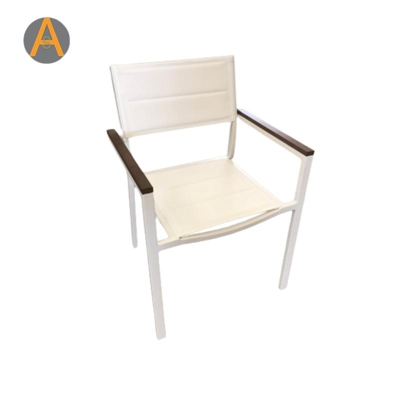 Elegant Design Outdoor Dining Chair with Supporting Wood Accent Armress All Weather, Garden Furniture Backyard