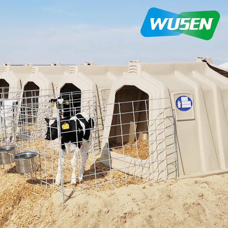 Hot Sales Animal Husbandry Equipment Calf Hutch / Cow House