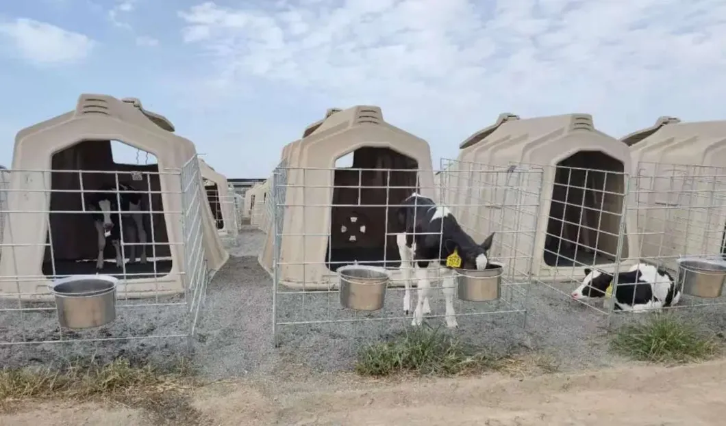 Calf Hutch Application 1