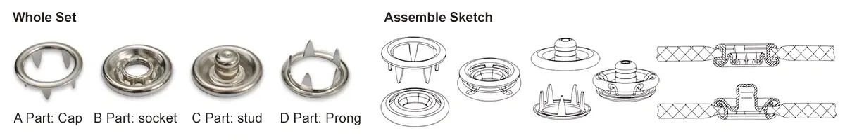 Prong Snap Button Structure Diagram 1