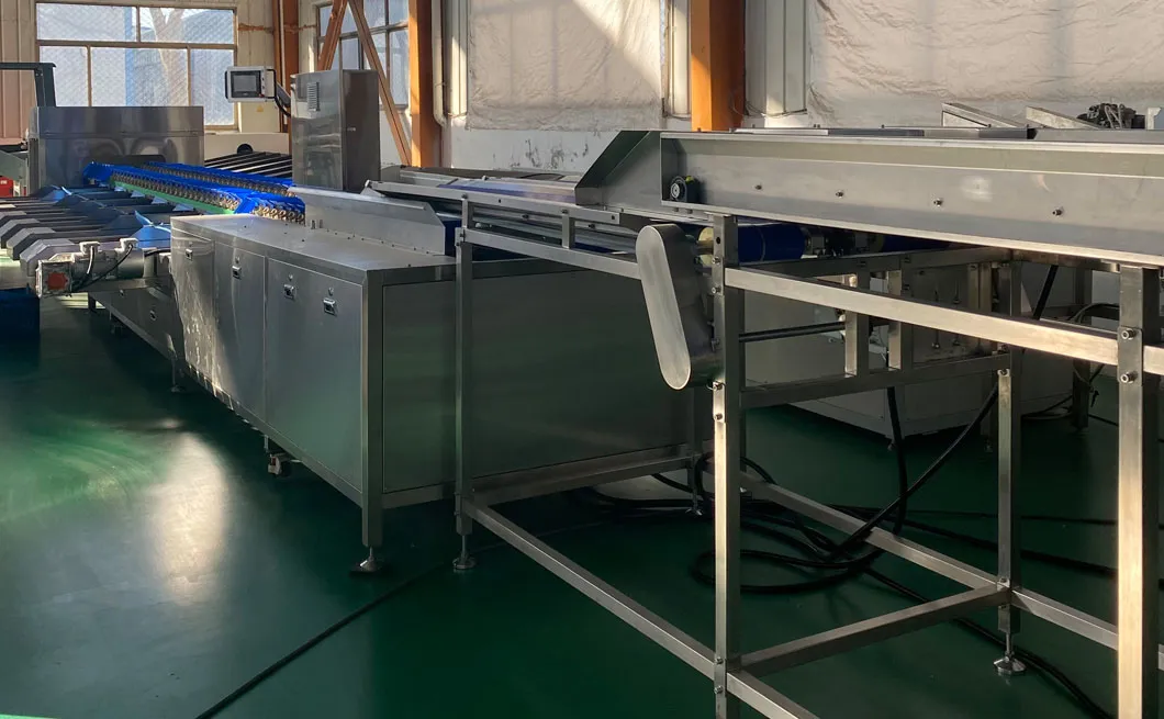 Máquina clasificadora de cebollas de alto volumen para cultivadores agrícolas