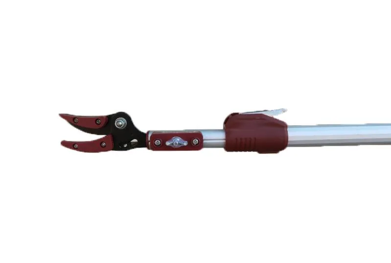 Recolector de frutas con cabeza de cuchilla giratoria