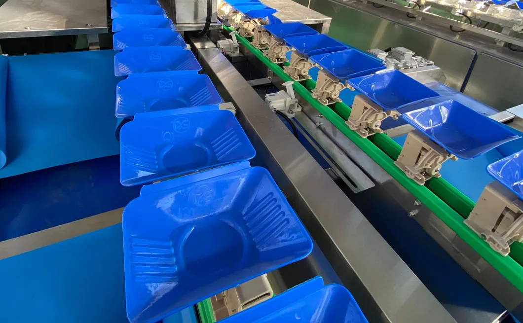 Máquina clasificadora de cebollas de alto volumen para cultivadores agrícolas